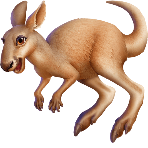 Canguro
