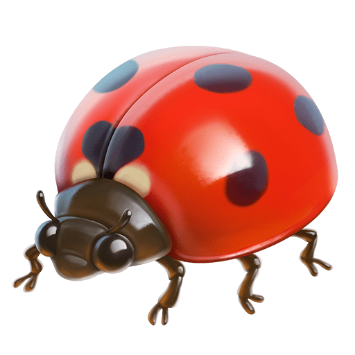 Coccinella