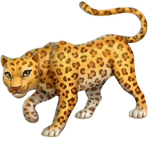 Leopardo