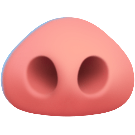 Naso Da Maiale