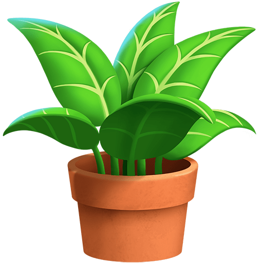 Pianta In Vaso