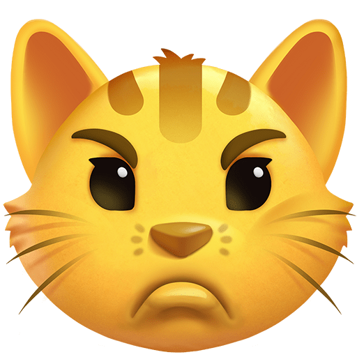 Gatto Imbronciato