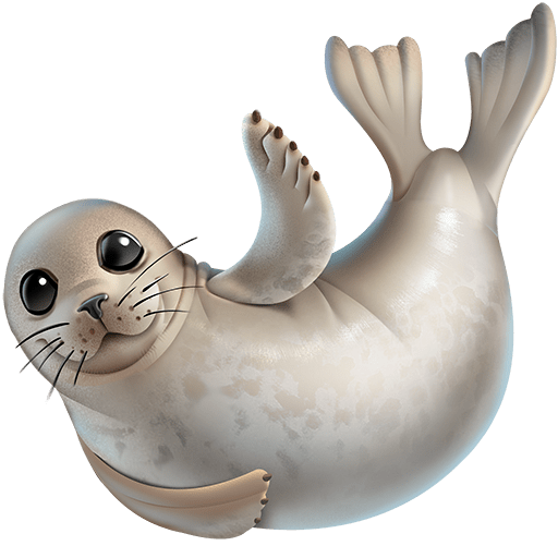 Foca