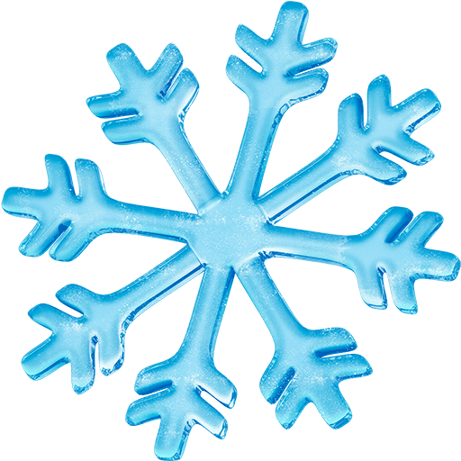 Fiocco Di Neve Fiocco Di Neve