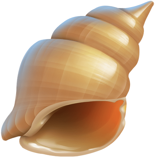 Conchiglia