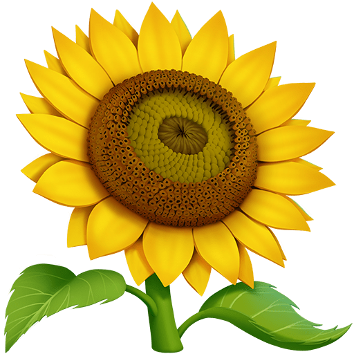 Girasole