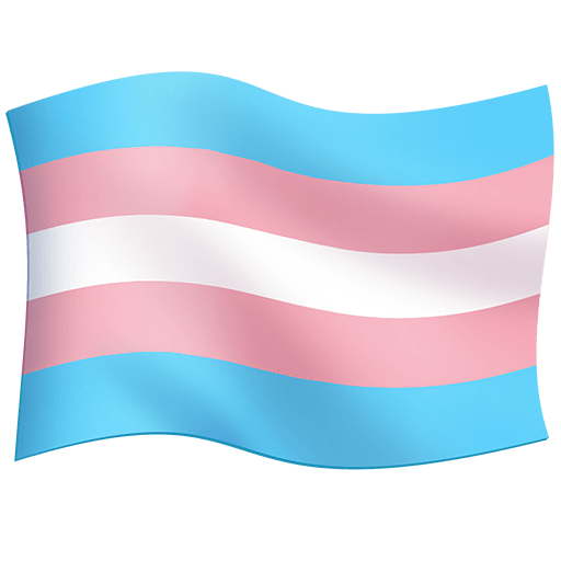 Bandiera Transgender Bandiera Transgender