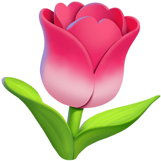 Tulipano
