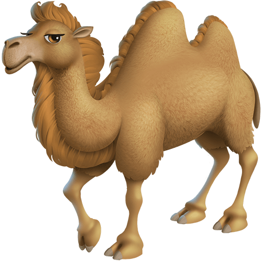 Cammello