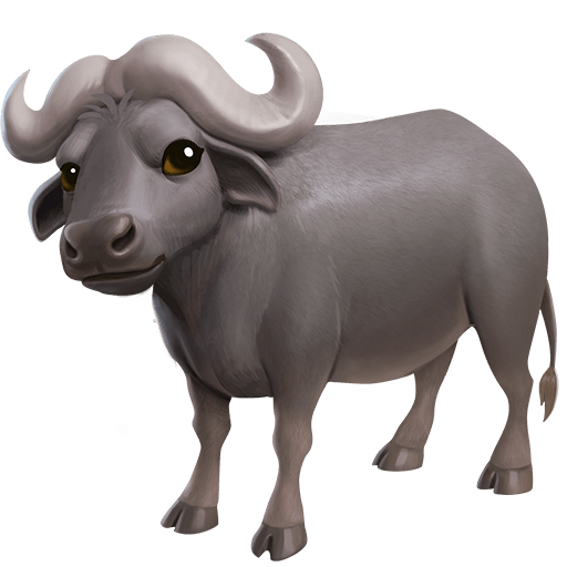 Bufalo D’Acqua