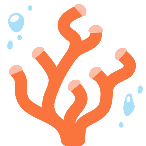 第珊瑚号为第Twitter (X) January 2025 Update号