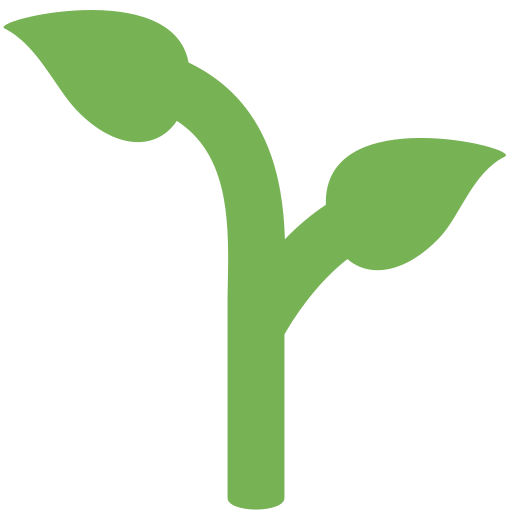 Seedling for Twitter (X) January 2025 Update