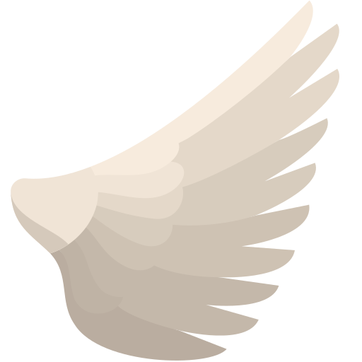 Asa para Twitter (X) January 2025 Update