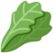 Listová zelenina Listová zelenina