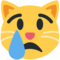 Crying Cat