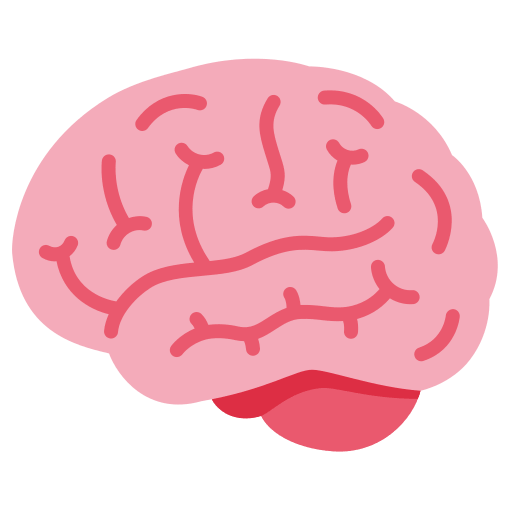 Cervello