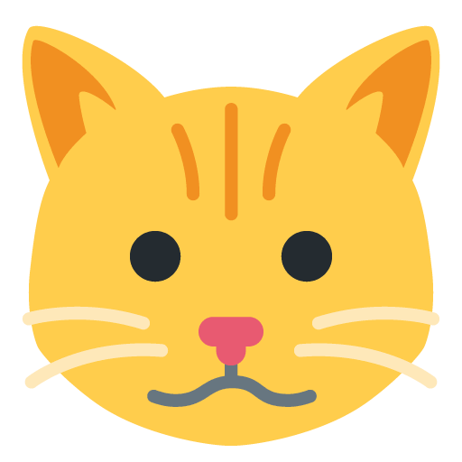Muso Di Gatto