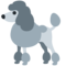 Kaniş