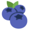Blaubeeren