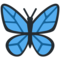 Schmetterling