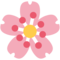 Kirschblüte