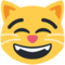 Grinsende Katze Mit Lachenden Augen
