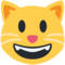 Grinsende Katze