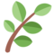 Kräuter