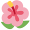 Hibiskus