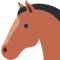 Pferdegesicht