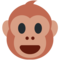 Affengesicht
