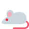Maus