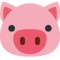 Schweinegesicht