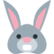 Hasengesicht