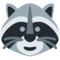 Waschbär
