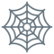 Spinnennetz