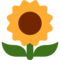 Sonnenblume