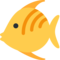 Tropenfisch