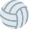 Volleyball