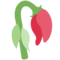 Welke Blume