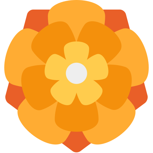Rozeta Rozeta