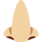 Hidung: Warna Kulit Cerah-Sedang