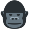 Gorila Gorila
