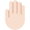 Dorso De La Mano: Tono de Piel Claro Dorso De La Mano: Tono de Piel Claro