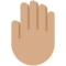Dorso De La Mano: Tono de Piel Medio Dorso De La Mano: Tono de Piel Medio