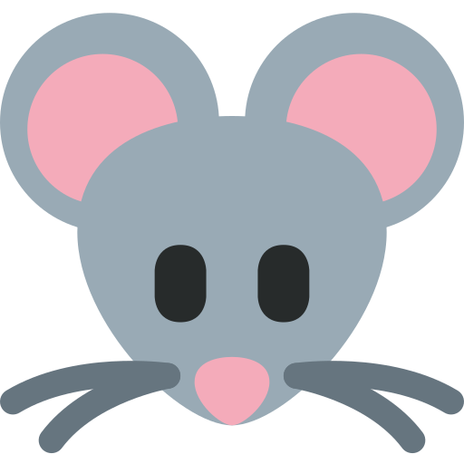 Cara De Ratón