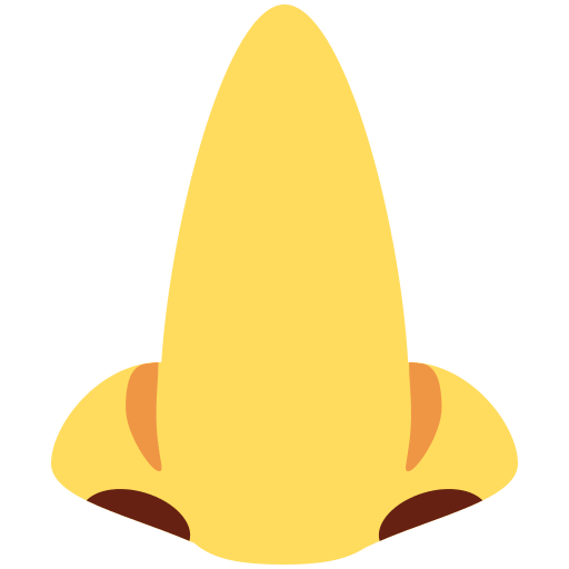 Nariz
