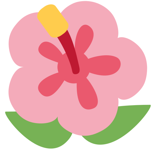 היביסקוס