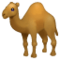 ऊँट