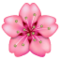 चेरी ब्लॉसम